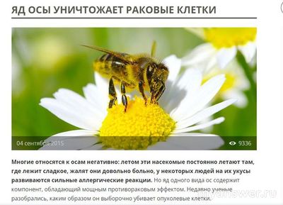 Что будет если исчезнут осы?