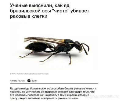 Что будет если исчезнут осы?