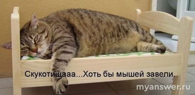 Вечный покой сердце вряд ли обрадует? Зачем эти сказки про "жизнь вечную"?