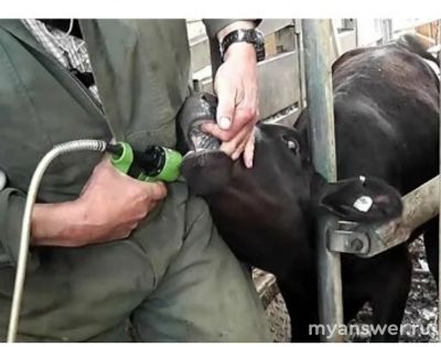 Когда глотаешь таблетки, голову нужно запрокинуть или наоборот наклонить?