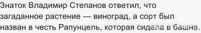 ЧГК 29.12.24 какое название получил сорт растения, ассоциирующийся...?