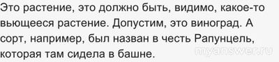 ЧГК 29.12.24 какое название получил сорт растения, ассоциирующийся...?