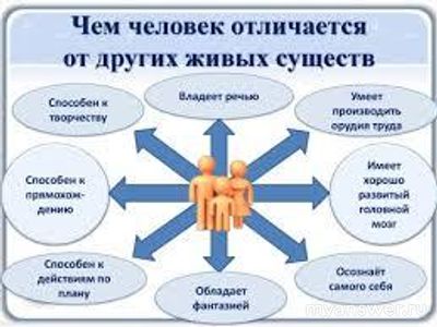Что радикально отличает человека - от других живых существ?