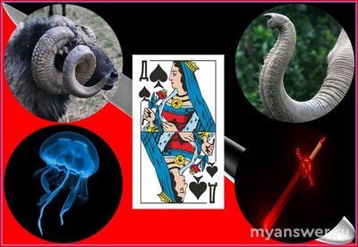 Что, кроме игральной карты, называется «Пиковая Дама» (см)?