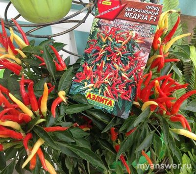 Что, кроме игральной карты, называется «Пиковая Дама» (см)?