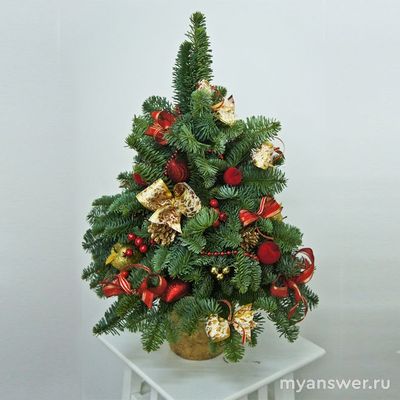 Как отличить ёлку в горшке от ветки ёлки в горшке?