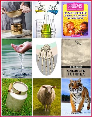 Как решить головоломку с девятью картинками: Тигр, Смелость лётчика...(см)?