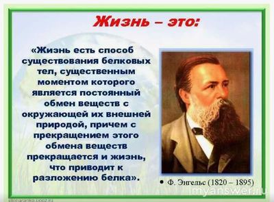 Кто сказал что "Жизнь есть способ существования белковых тел"?