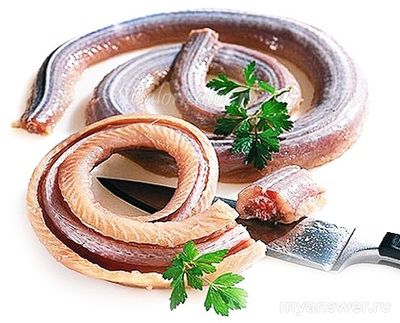 Можно приготовить холодец из змеи, как?