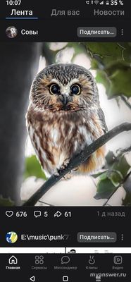 Как в приложении ВКонтакте вернуть старую ленту новостей от групп и друзей?