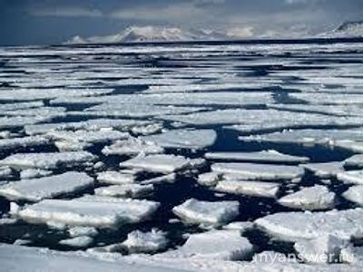 Правда ли, что лед тяжелее воды? Почему?