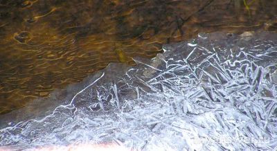 Какой лед крепче и почему?