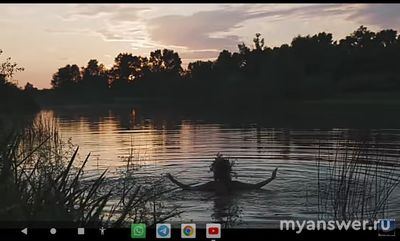 Заработает ли YouTube 13.11.2024, у всех заработает или нет, что известно?