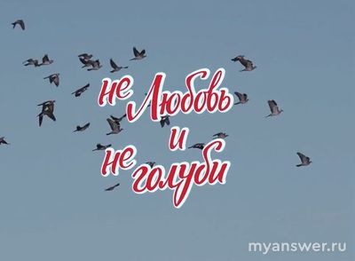 Когда выйдет фильм "Нелюбовь и неголуби"?
