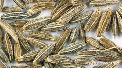 Кориандр - это семена зиры?