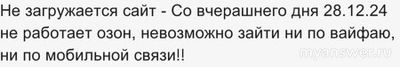 Не работает сайт Озон (Ozon) 29 декабря 2024, почему, что делать?
