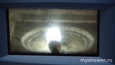 Если положить лампочку в микроволновку, то она будет гореть?