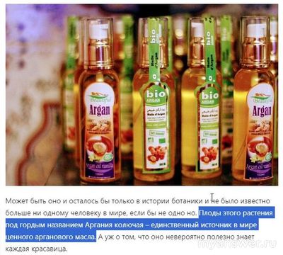 Аргановое масло в какой стране добывают?