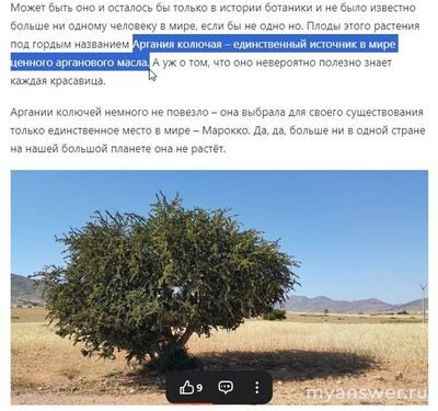 Аргановое масло в какой стране добывают?