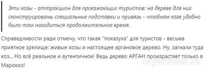 Аргановое масло в какой стране добывают?