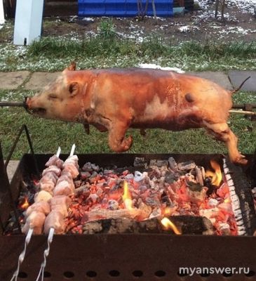 Что в шашлыке самое главное?