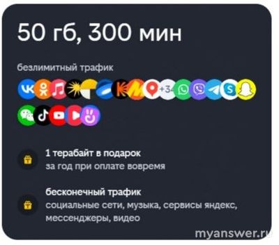 Выгодный ли тариф Билайн «Новогодний хит», (ноябрь 2024), как подключить?
