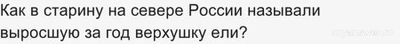 Как в старину на севере России называли выросшую за год верхушку ели?