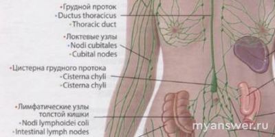 Правда ли , что в организме женщин есть цистерна?