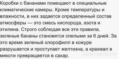 Почему зелёные бананы стали нормой для продаж?