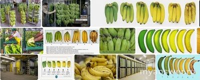 Почему зелёные бананы стали нормой для продаж?