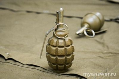 Как бойцы называли ручную противотанковую гранату Ф-1: лимонка, груша?