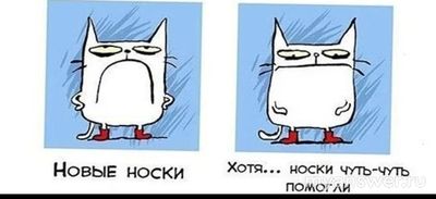 Что можно угарного подарить парню?