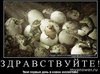 О чем общаться на работе с первого рабочего для с коллегами?