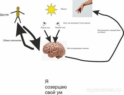 Как вы относитесь к изменению своего мнения или точки зрения? Почему?