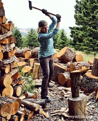 Какая теплотворная способность у обычных дров?