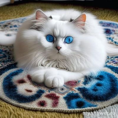 Каким словом можно объединить все четыре картинки (см, 11 букв, мн число)?