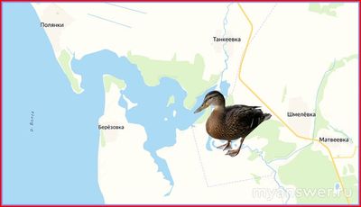 Какой приток впадает в Волгу у села Берёзовка?