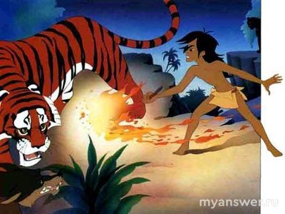 Багира понимает, что Маугли больше не детёныш, когда он что делает?