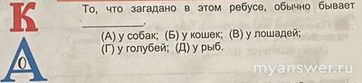 Как разгадать ребус (буквы К, А, о), у кого это бывает: у собак, у кошек..?