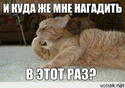 Что делать когда человеку в квартире выключили свет?