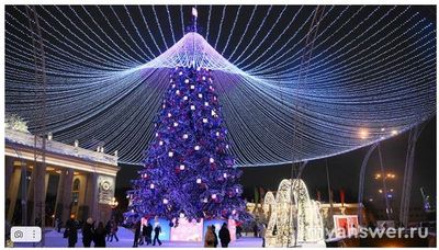 Где находится самая высокая новогодняя ёлка в России 2024-2025?