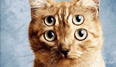 В чём можно потеряться? Как превозмочь чувство потерянности?