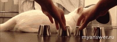 В чём можно потеряться? Как превозмочь чувство потерянности?