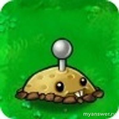 Правда ли, что "картошка" на самом деле орех в pvz?