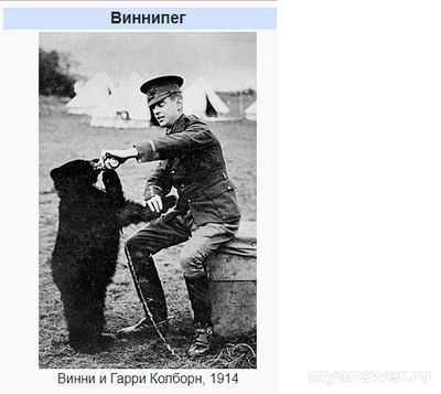 Кем была Виннипег, смотреть на которую в Лондонский зоопарк водил сына?