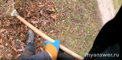 Что будет если после вуза работать дворником? Что будет ждать в будущем?