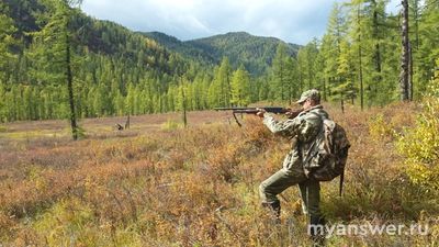 В каком регионе России больше всего ходят на охоту?