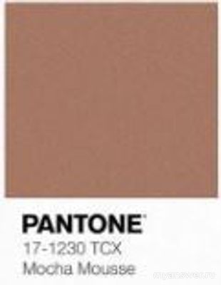 «Мокко Мусс»( "Мусс Мокко") - что за цвет, с чем сочетается, кому идёт?