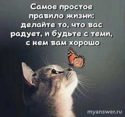 Почему алгоритм жизни такой: учиться, а потом создать семью?
