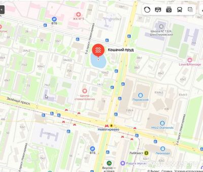 Что случилось на Кошачьем пруду в Москве 3 декабря 2024 года?